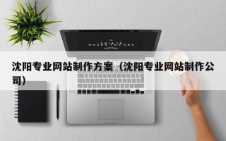 黑龙江沈阳专业网站制作方案（沈阳专业网站制作公司）